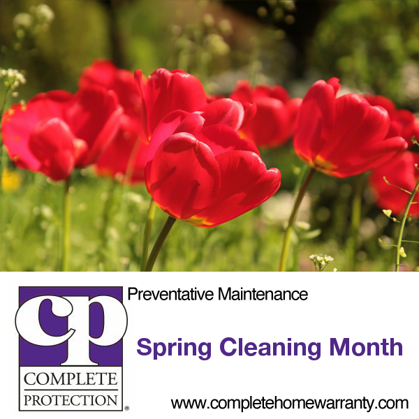 spring cleaning
