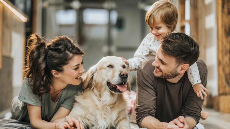 happy family with dog happy family with dog